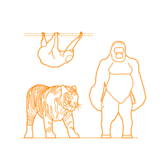 Animals Rainforest Animals Sketch Svg Vector, Free Vectors File